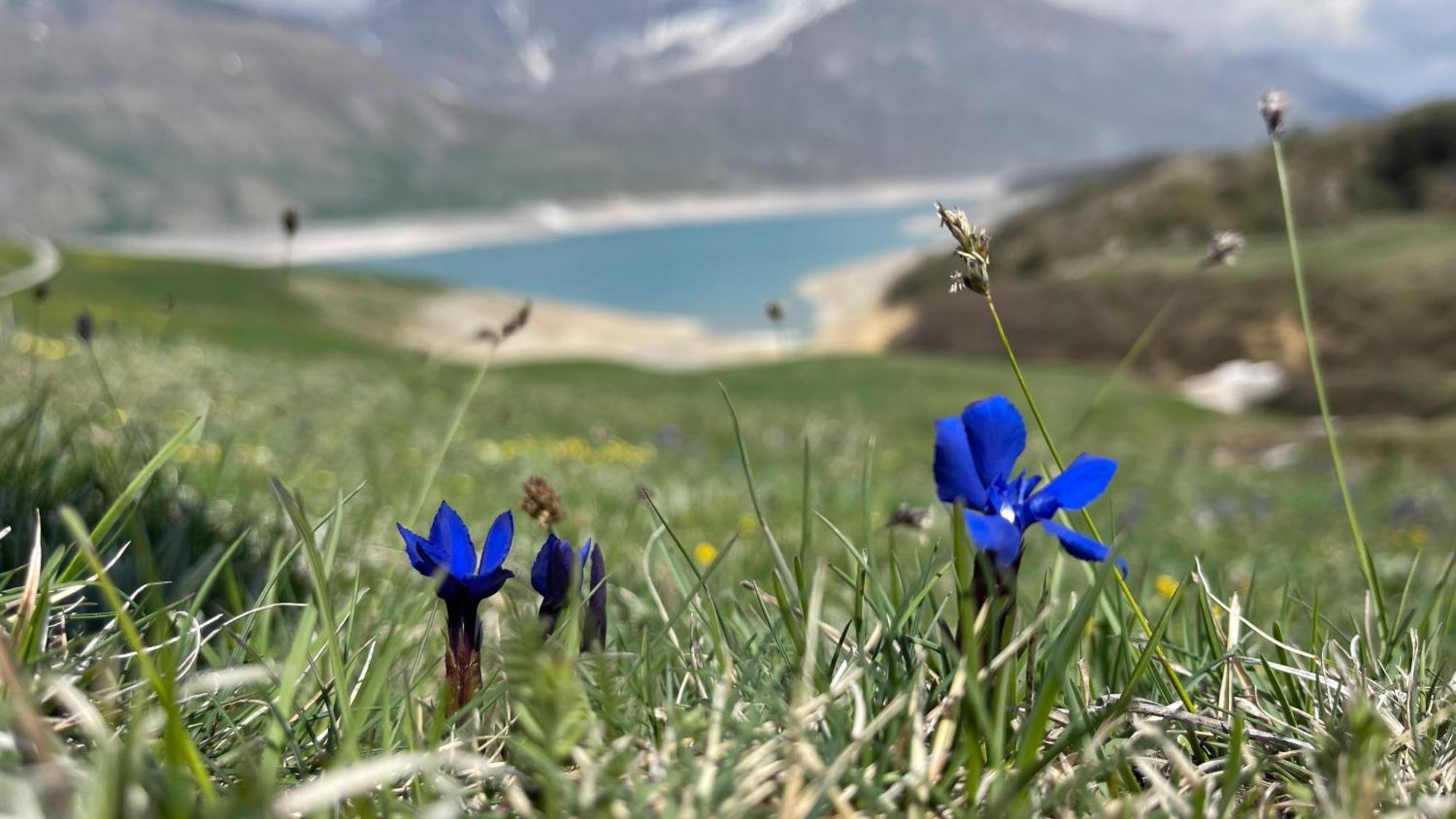Aux Portes Du Parc National De La Vanoise Val Cenis